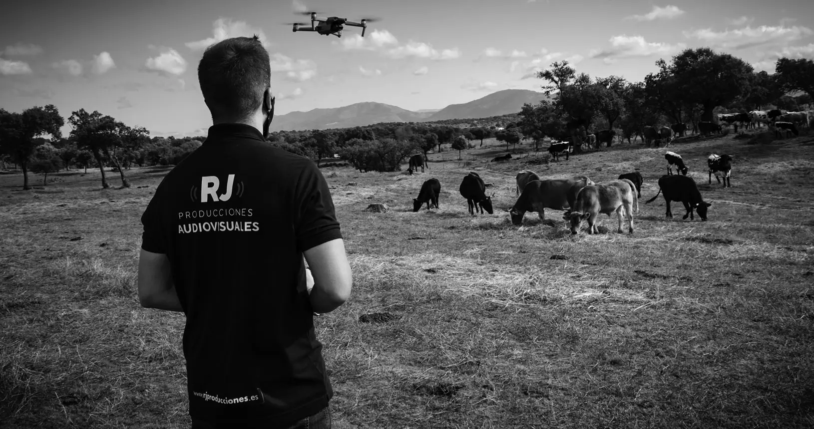 Videos con dron